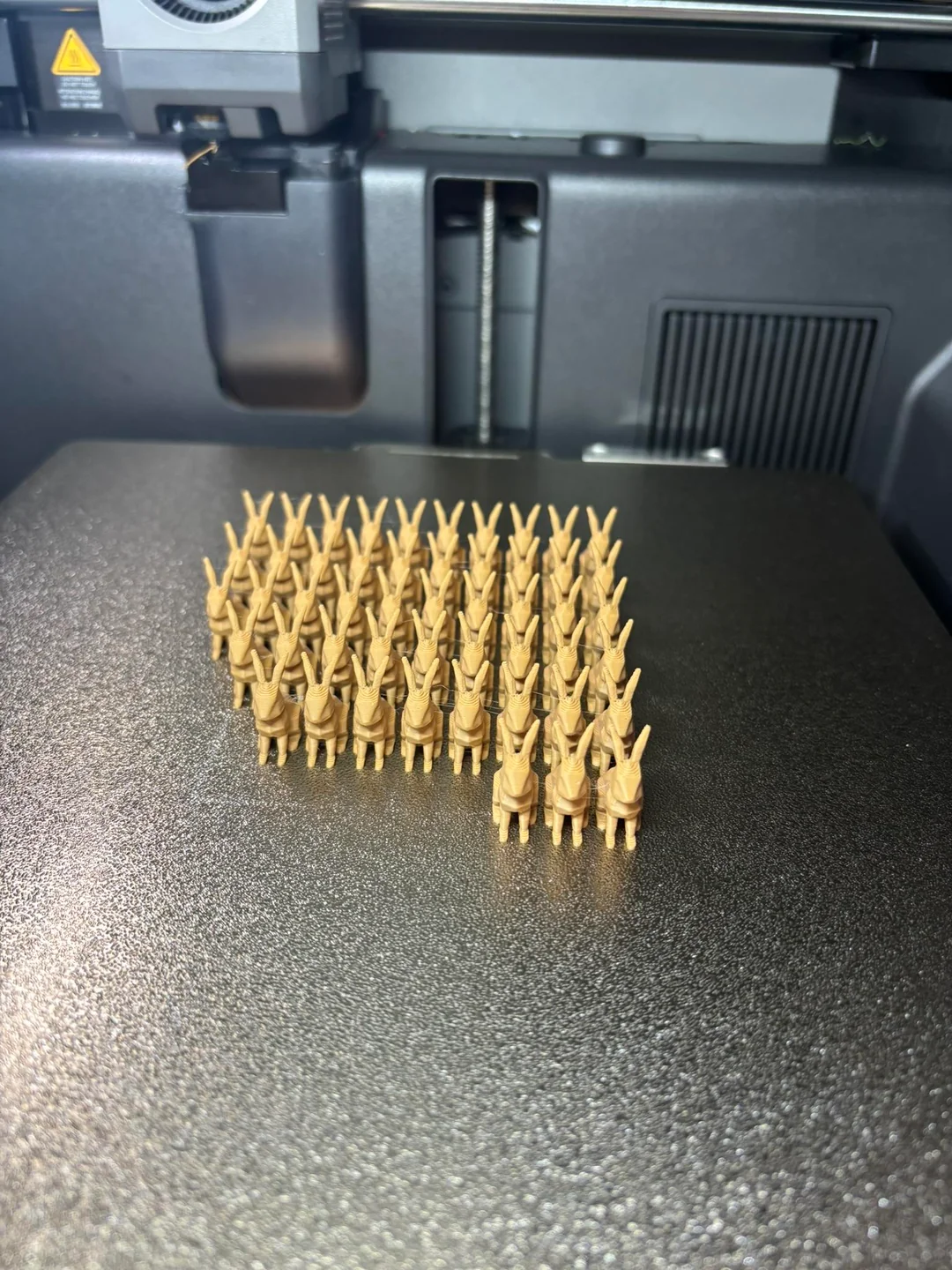 Şimdide Tavşan Bastım"